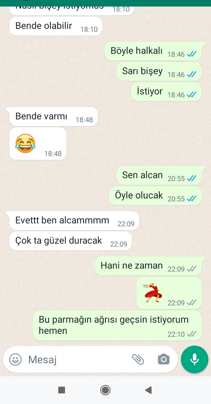 Bu işin oluru yok mu dersiniz?