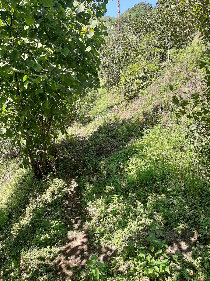 Şu an ne yapıyorsunuz bakalım?