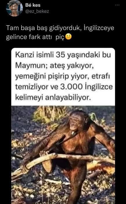 Senin en iyi yaptığın şeyler nelerdir?