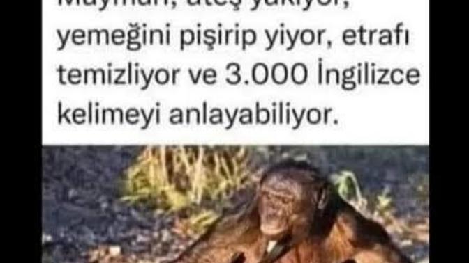 Senin en iyi yaptığın şeyler nelerdir?