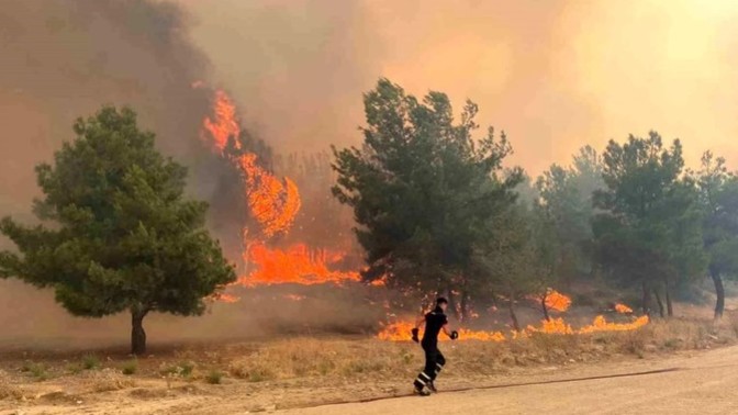 Çanakkale'de çıkan orman yangını ne yazık ki büyüyor. Müdahale için diğer illerden destek gelecek mi?