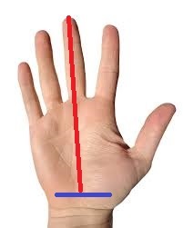 Kısa erkeklerin penisi uzun mu olur, kısa mı?