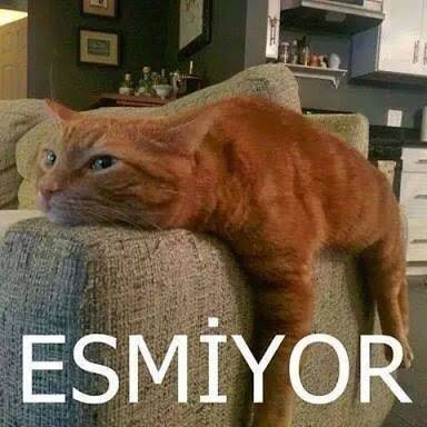Yaz biteceği için sevinen taraf mısın, üzülen taraf mı?