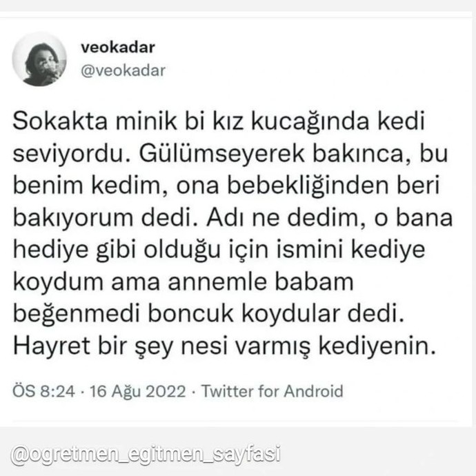 En son neyin fotoğrafını çektiniz?