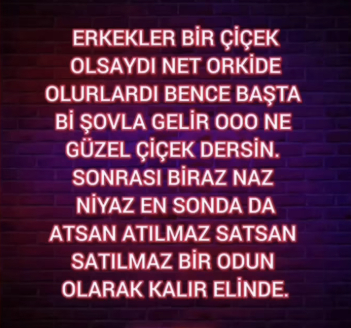 Erkekler ve kadınlar birer çiçek olsalardı hangi çiçek olurlardı? Neden?