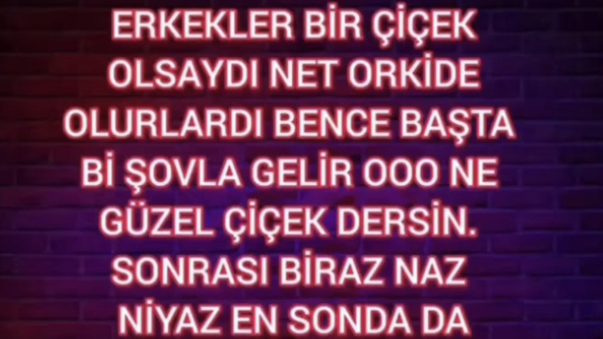 Erkekler ve kadınlar birer çiçek olsalardı hangi çiçek olurlardı? Neden?