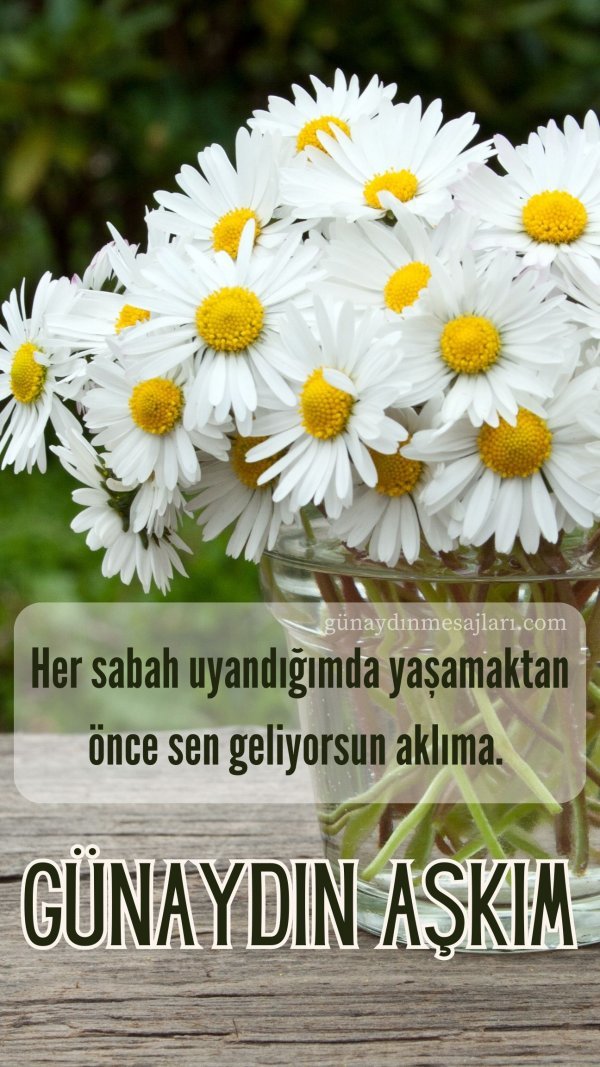 Bak bak 😄