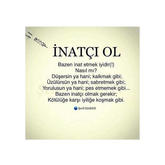 İnatçı bir insan mısınız?