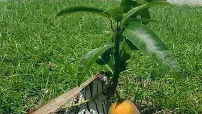 Nefret etmeden yaşamayı öğrendiniz mi?