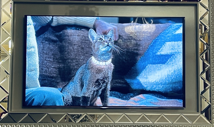 En son hangi filmi izledin veya izlemek istiyorsun?