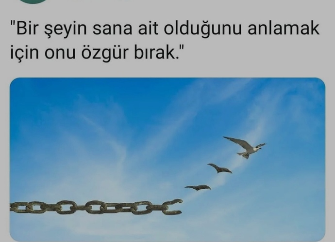 Neleri özgür bıraktınız?