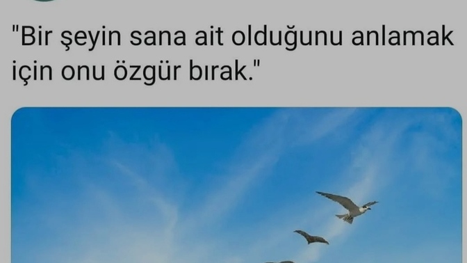 Neleri özgür bıraktınız?