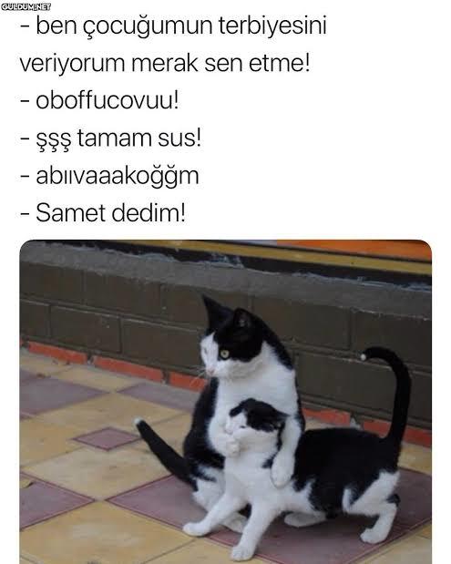Sizi sinirlendirmek kolay mıdır yoksa zor mu?
