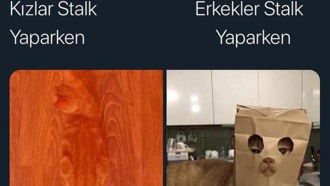 Stalk yapmakta kızlar mı daha iyi, erkekler mi?