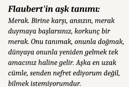 Sizin aşk tanımınız ne?