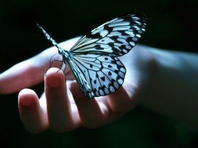 🦋Her şey bir şeyleri etkiler 🦋