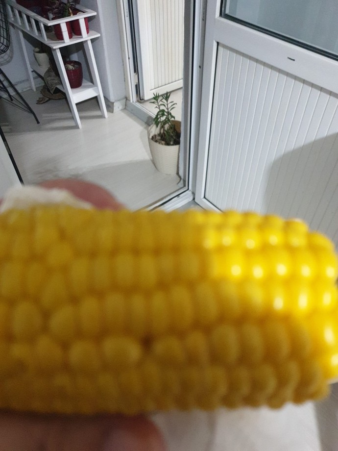 Siz mısırı nasıl seversiniz?