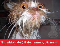 Takvimsel olarak, yaz mevsimi 30 gün sonra bitiyor! Yazı nasıl bitirdin?