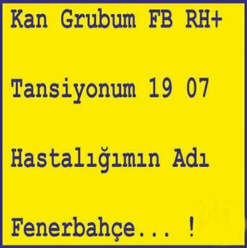 Beşiktaş mı, Galatasaray mı ve neden?