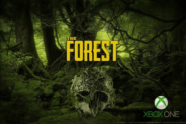 The Forest oynayan var mı?