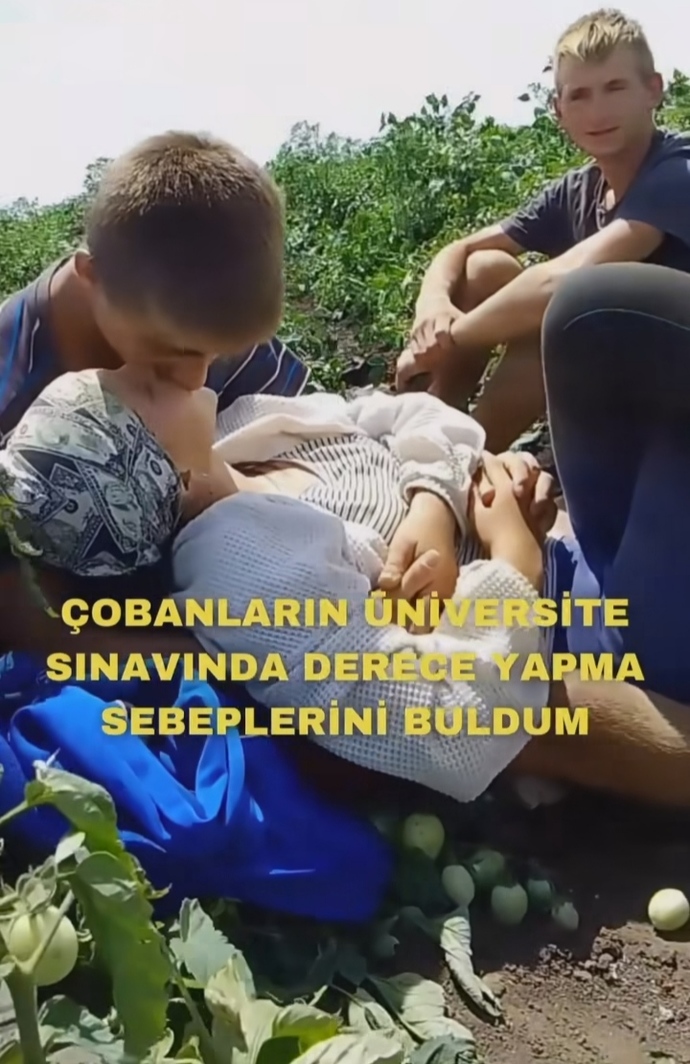 Bana aşağıdaki görseli birkaç cümle ile anlatabilirmisiniz?