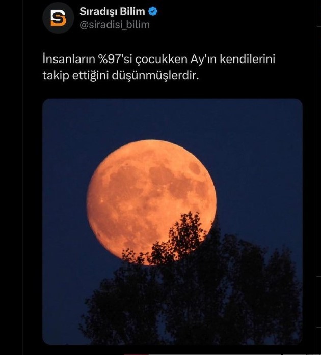 Siz de çocukken ayın sizi takip ettiğini düşünür müydünüz?