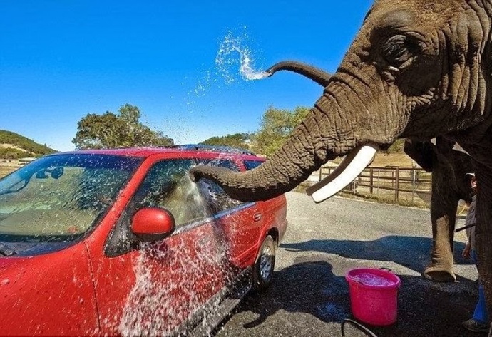 Araba ne kadar sürede bir yıkanmalı 💦?