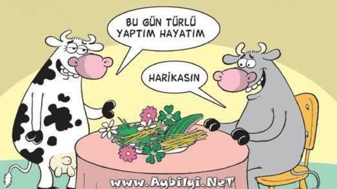 Sevgiline bir yemek yapacak olsaydın, bu hangi yemek olurdu?