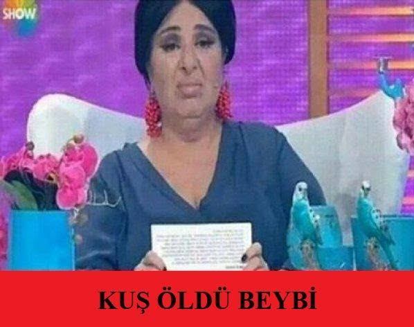 Sevdiğim adamın doğum günümde hediye olarak aldığı posta güvercini daha ilk postada öldü sizce bunu ona söylemelimiyim?