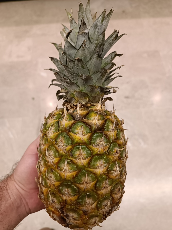 Ananas seven var mı?