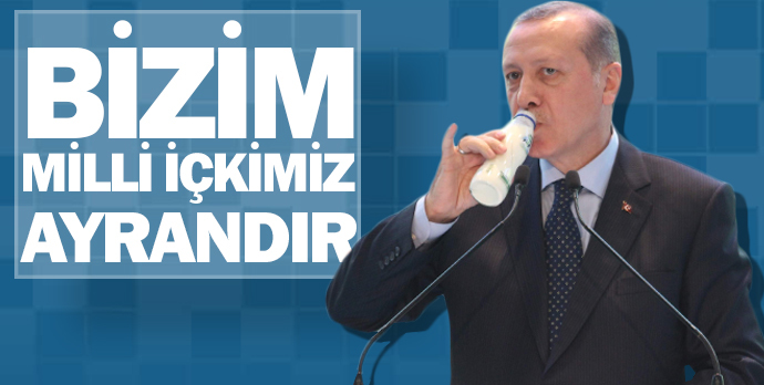 Ayran sever misiniz?