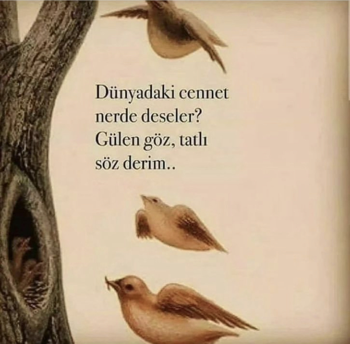 Bunu görebilen de lazım sanki 😄