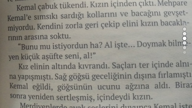 Libidom yüksek, düşsün diye başka şeylerle ilgileneyim dedim, kitapta seks sahnesi çıktı😄 bu benim şansım mı?