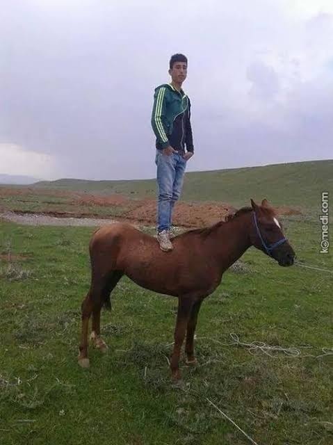 Nasılım ey KS ahalisi?