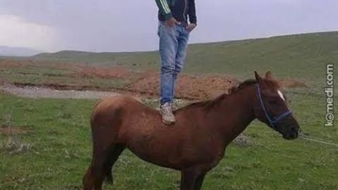 Nasılım ey KS ahalisi?