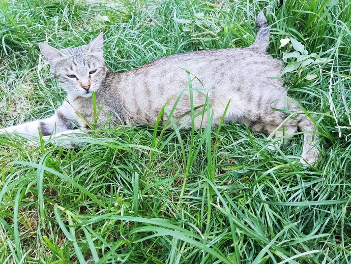 Bu minnoşta hamile mesela🙃😍