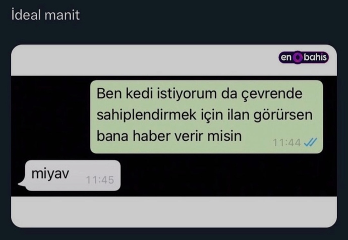 Karşı cinse yürümede kadınlar mı daha başarılı erkekler mi 😂?