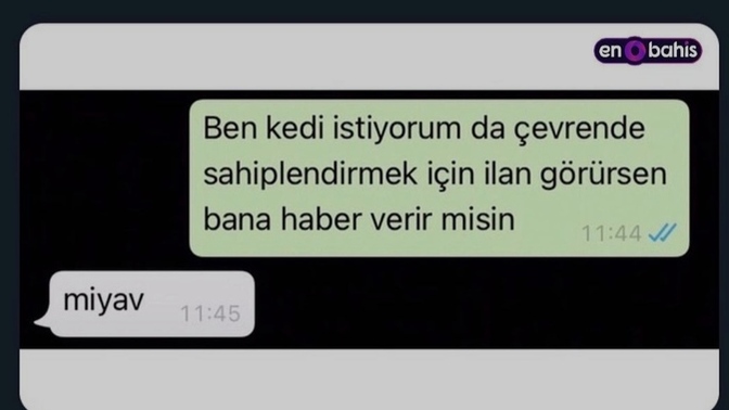Karşı cinse yürümede kadınlar mı daha başarılı erkekler mi 😂?