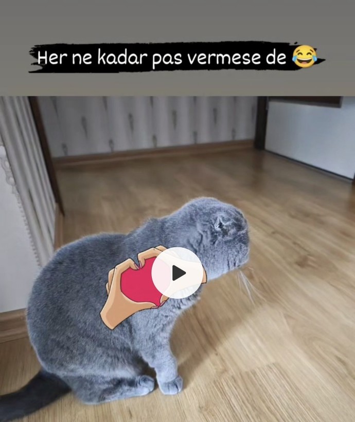 Pas vermese de trip atsa da vazgecemedikleriniz var mı?