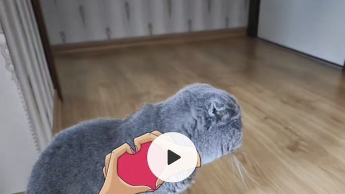 Pas vermese de trip atsa da vazgecemedikleriniz var mı?
