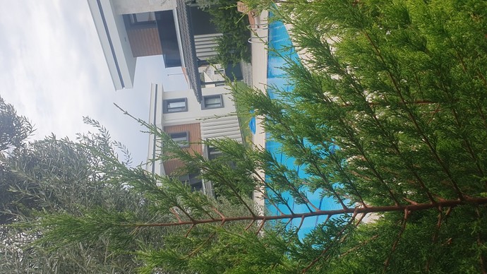 Bu sıcaklarda serinlemek için yaptığınız şeyler nelerdir?
