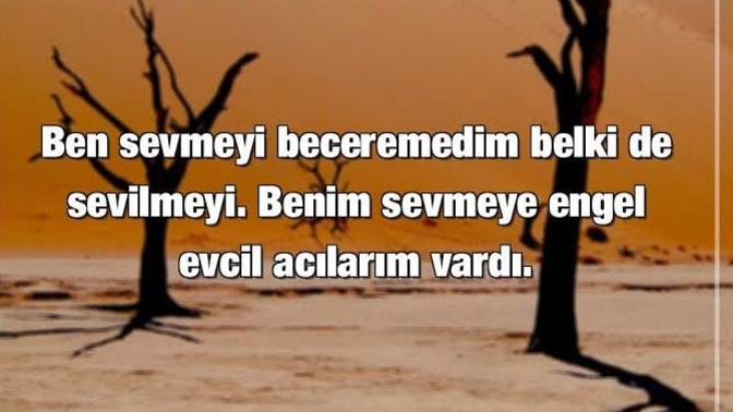 Sevmeyi mi beceremiyorsun, sevilmeyi mi?