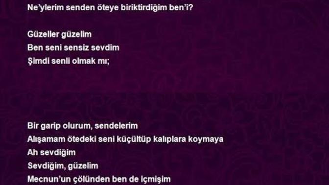 Onu mu seviyorsunuz onu sevmeyi mi seviyorsunuz?