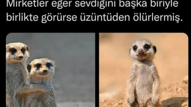 Sevdiğinize bağlılık dereceniz nedir 💝?