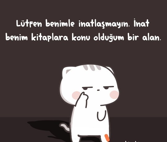 İnat biri misin yoksa uysal mı?