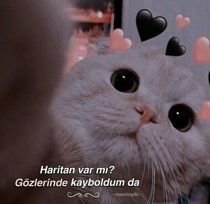 Birinden şimdiye kadar aldığın en iyi iltifat ne?