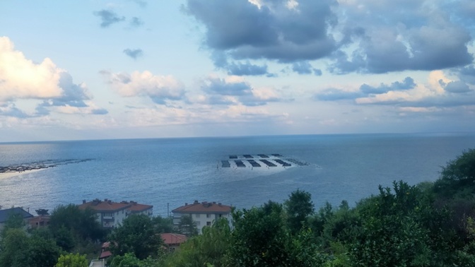 Bu mahcubiyet nasıl aşılır?