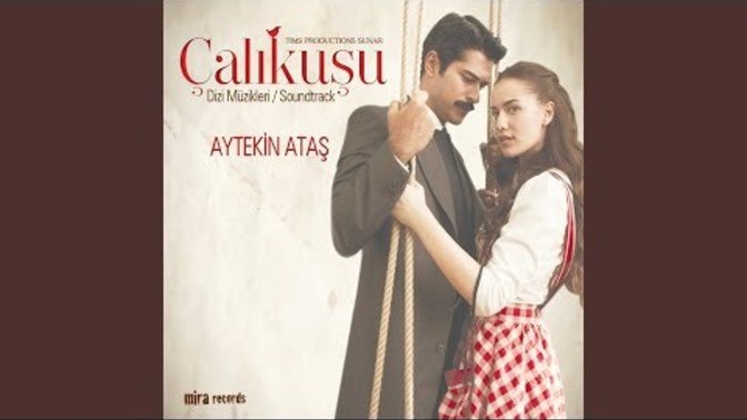 Şarkı/ Türkü söyleyecek kadar sesiniz güzel olsun ister miydiniz?