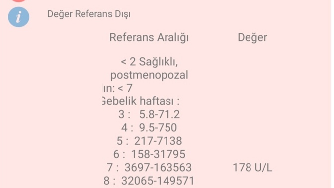Hamilelik için kan verdim, kan sonucu çıkmış. Anlayan bir bakabilir mi?