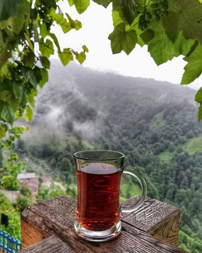 Çayın yanında en güzel ne gider?